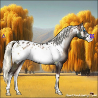 Horse Color:Liver Red Onyx Mushroom Frame Appaloosa