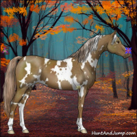 Horse Color:White Spotted Chocolate Palomino 
