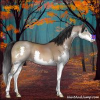 Horse Color:Brown Dun Splash 