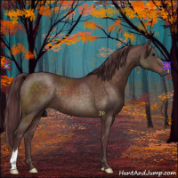 Horse Color:Chocolate Brown 