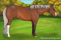 Horse Color:Silver Brown 