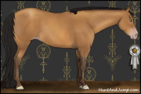 Horse Color:Gray Amber Champagne 