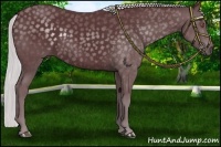 Horse Color:Chocolate Silver Black Chinchilla Rabicano 