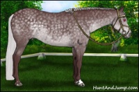 Horse Color:Chocolate Silver Black Chinchilla Sabino 
