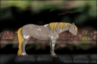 Horse Color:Painted White Spotted Silver Grullo 
