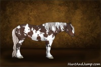 Horse Color:White Spotted Silver Brown