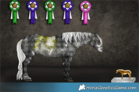 Horse Color:Plaid  White Spotted Silver Brown Chinchilla Ice 