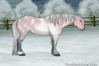 Horse Color:Watercolor White Spotted Silver Brown Dun 