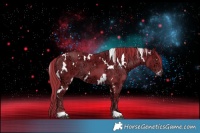 Horse Color:Watercolor White Spotted Liver Chestnut Ice