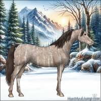 Horse Color:Classic Champagne Ice 