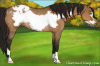 Horse Color:Gray Bay Dun Frame Varnish Rabicano 