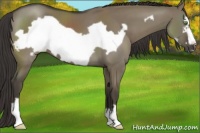 Horse Color:Smoky Grullo Frame 