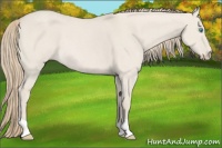 Horse Color:Smoky Creme Dun Rabicano 