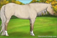 Horse Color:Silver Smoky Grullo Roan 