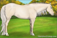 Horse Color:Silver Smoky Grullo Roan Pearl Rabicano 