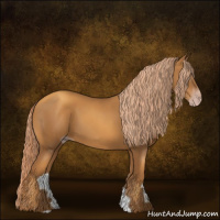 Horse Color:Gray Gold Champagne