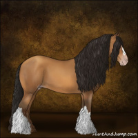 Horse Color:Gray Amber Champagne 