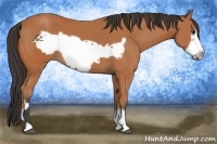 Horse Color:Bay Frame  and Bay Frame 