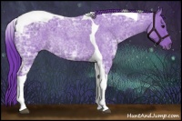 Horse Color:Watercolor Blue Ice Roan Tobiano 