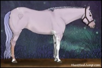 Horse Color:Watercolor Red Dun Tobiano