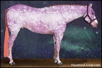 Horse Color:Watercolor Chestnut Ice