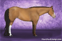 Horse Color:Gray Amber Champagne 