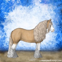 Horse Color:Palomino Roan Splash