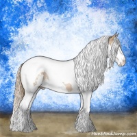 Horse Color:Chestnut Pearl Sabino Splash Tobiano Rabicano