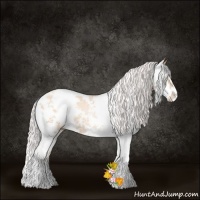 Horse Color:Silver Amber Champagne Pearl Sabino 