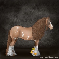 Horse Color:White Spotted Brown Pearl