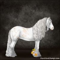 Horse Color:Silver Classic Champagne Pearl Sabino Splash Rabicano