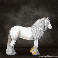 Horse Color:White Spotted Liver Red Dun Pearl Splash Tobiano Rabicano