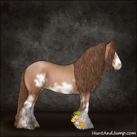 Horse Color:White Spotted Brown Pearl Frame