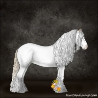 Horse Color:White Spotted Liver Red Dun Pearl Splash Tobiano Rabicano