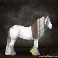 Horse Color:White Spotted Black Pearl Splash Rabicano 