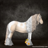 Horse Color:Gold Champagne Pearl Tobiano