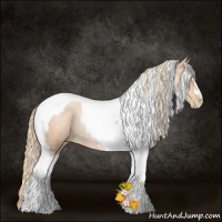 Horse Color:Gold Champagne Pearl Tobiano Rabicano