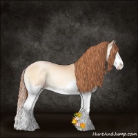 Horse Color:Classic Champagne Pearl Onyx Splash