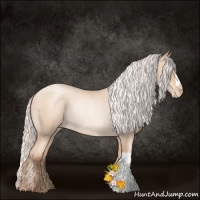 Horse Color:Silver Sable Champagne Roan Pearl Rabicano 
