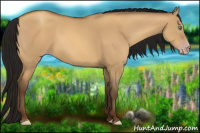 Horse Color:Gray Amber Champagne Dun 