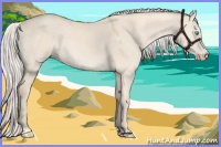 Horse Color:Cremello Dun Sabino 
