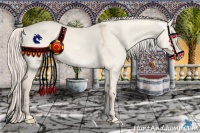 Horse Color:White Spotted Cremello Dun Sabino 