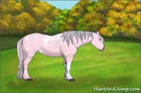 Horse Color:Painted White Spotted Liver Chestnut Chinchilla 