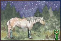 Horse Color:Watercolor White Spotted Silver Buckskin Ice Dun 