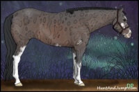 Horse Color:Brown Ice Sabino