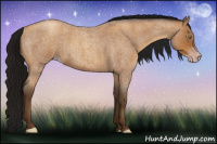 Horse Color:Gray Amber Champagne Roan 