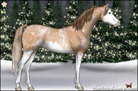 Horse Color:White Spotted Bay Pearl Splash 