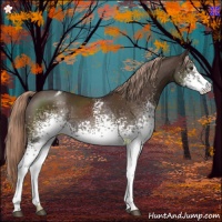 Horse Color:White Spotted Liver Chestnut Varnish