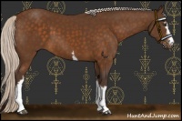 Horse Color:White Spotted Silver Buckskin 