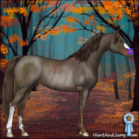 Horse Color:Liver Red Roan Rabicano 